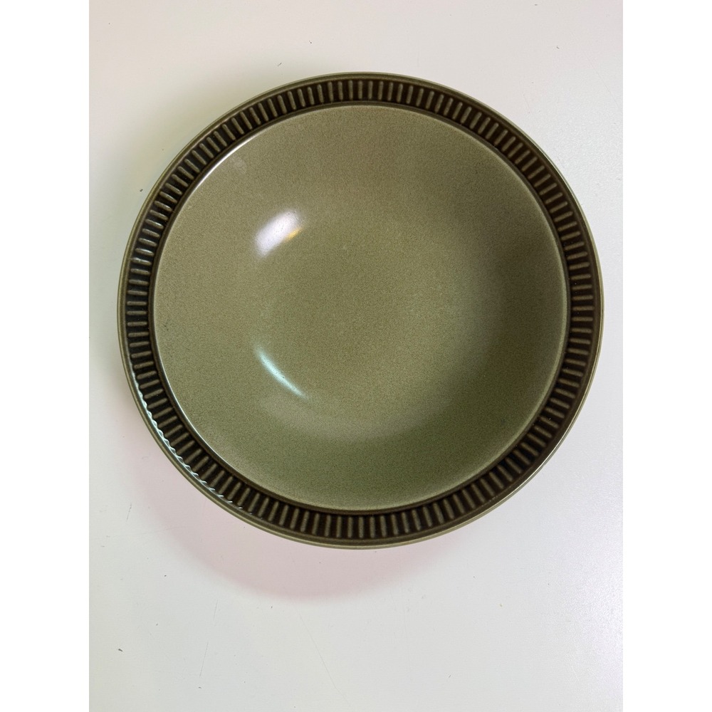 Cactus Stoneware Olive Green Ribbed Rim Serving Bowl Made‎ in Japan 4197 9.25in